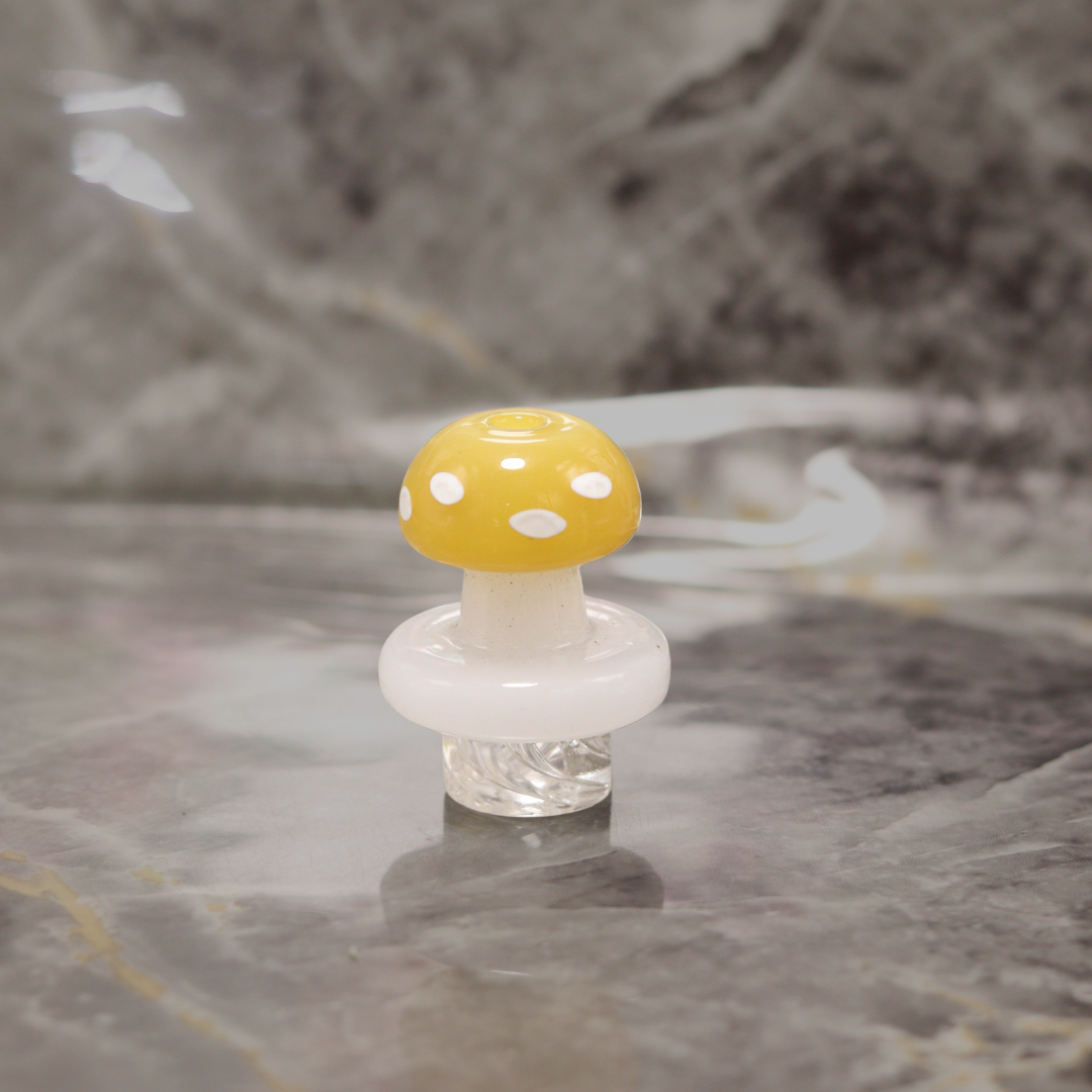 Piteira A Piteira Cogumelo